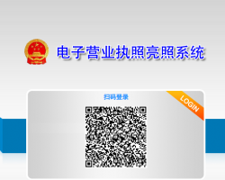 贵州省电子营业执照亮照系统