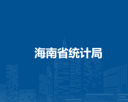海南省统计局