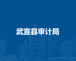 武宣县审计局