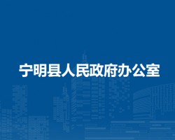 宁明县人民政府办公室