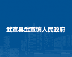 武宣县武宣镇人民政府