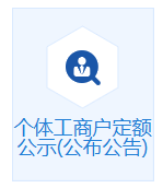 海口市个体工商户定期定额户核定纳税公示入口