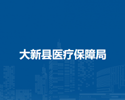 大新县医疗保障局