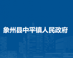 象州县中平镇人民政府
