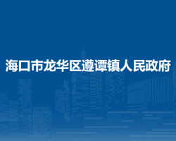 海口市龙华区遵谭镇人民政府