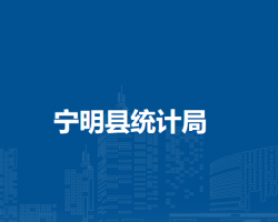 宁明县统计局