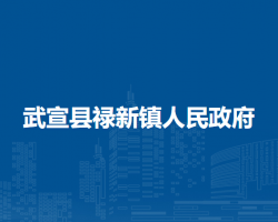 武宣县禄新镇人民政府默认相册