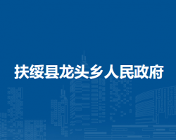 扶绥县龙头乡人民政府