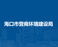 海口市营商环境建设局