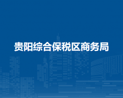 贵阳综合保税区商务局