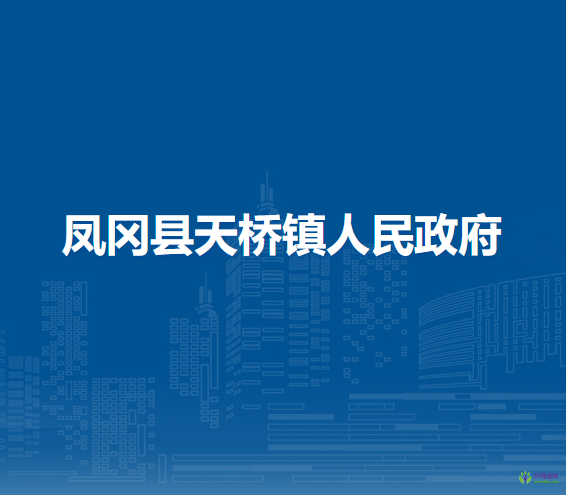 凤冈县天桥镇人民政府
