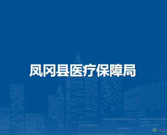 凤冈县医疗保障局