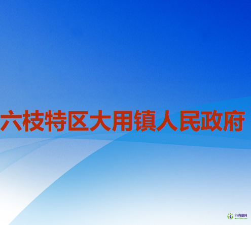 六盘水市六枝特区大用镇人民政府