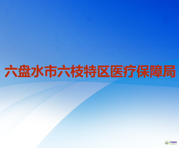 六盘水市六枝特区医疗保障局