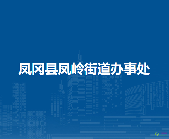 凤冈县凤岭街道办事处