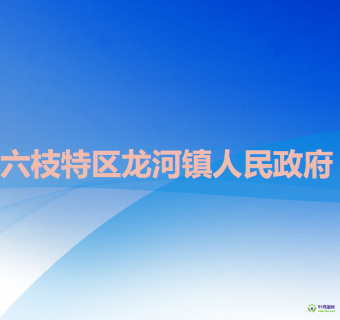 六盘水市六枝特区龙河镇人民政府