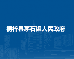 桐梓县茅石镇人民政府