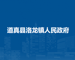 道真县洛龙镇人民政府