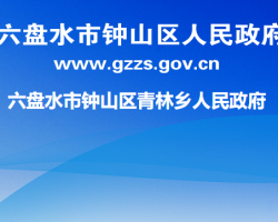 六盘水市钟山区青林乡人民政府