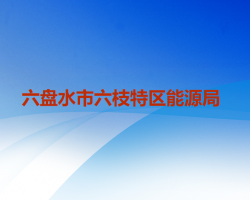 六盘水市六枝特区能源局