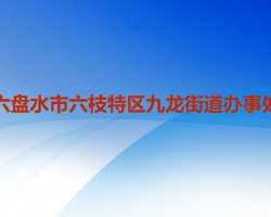 六盘水市六枝特区九龙街道办事处