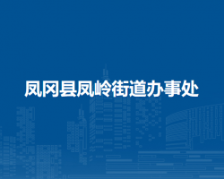 凤冈县凤岭街道办事处