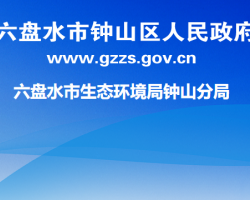 六盘水市生态环境局钟山分局