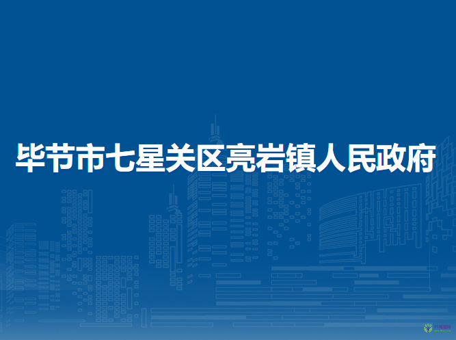 毕节市七星关区亮岩镇人民政府