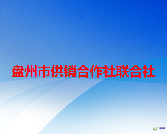 盘州市供销合作社联合社