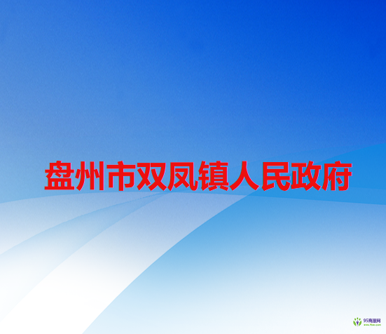 盘州市双凤镇人民政府