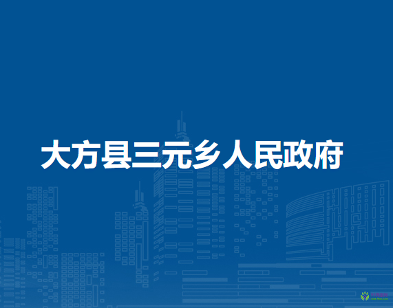 大方县三元乡人民政府