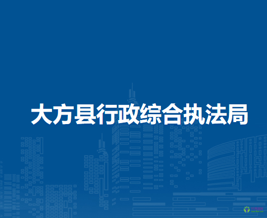 大方县行政综合执法局