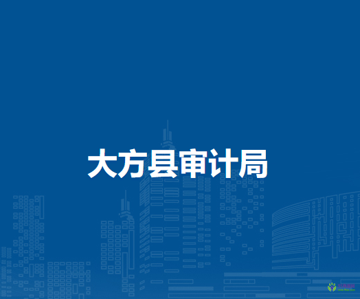 大方县审计局