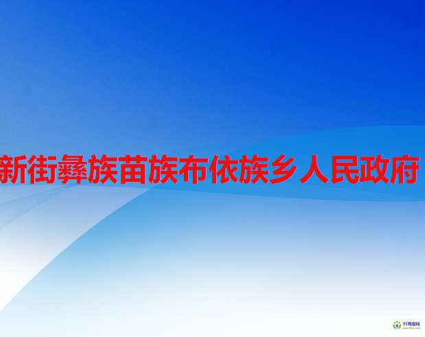 六盘水市水城区新街彝族苗族布依族乡人民政府