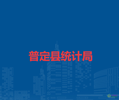 普定县统计局