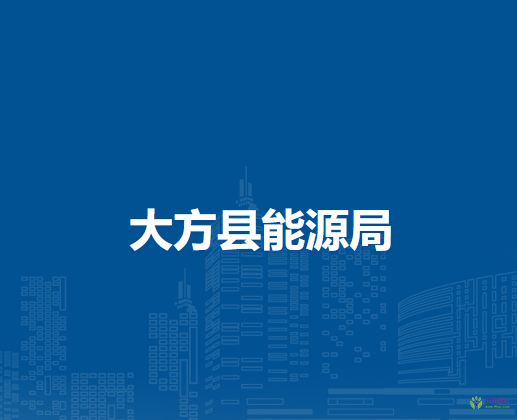 大方县能源局