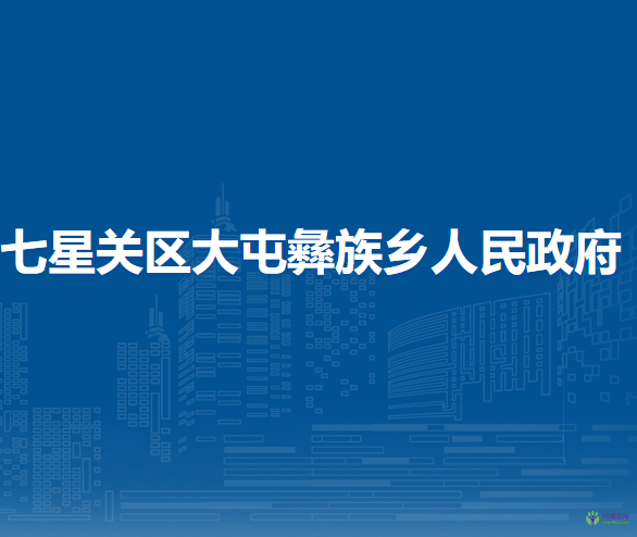 毕节市七星关区大屯彝族乡人民政府