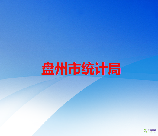 盘州市统计局