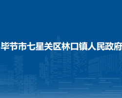 毕节市七星关区林口镇人民政府