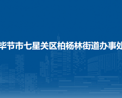 毕节市七星关区柏杨林街道办事处