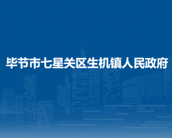 毕节市七星关区生机镇人民政府