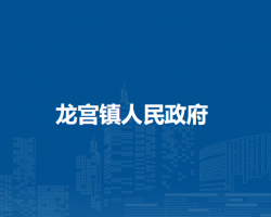 龙宫镇人民政府