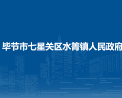 毕节市七星关区水箐镇人民政府