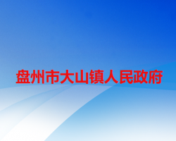 盘州市大山镇人民政府