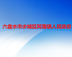 六盘水市水城区阿戛镇人民政府
