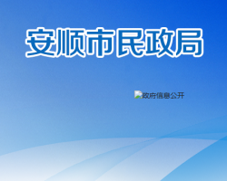 安顺市民政局网上办事大厅