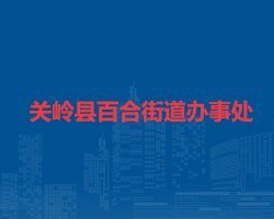 关岭县百合街道办事处