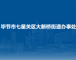 毕节市七星关区大新桥街道办事处