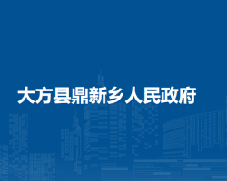 大方县鼎新乡人民政府