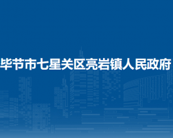 毕节市七星关区亮岩镇人民政府默认相册